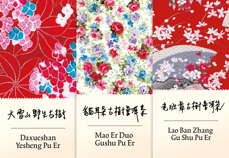 Degustations-Set Pu Er vertiefen II